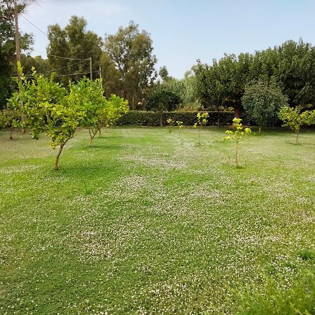 Agriturismo I Doni Del Mandorlo Alghero Bagian luar foto