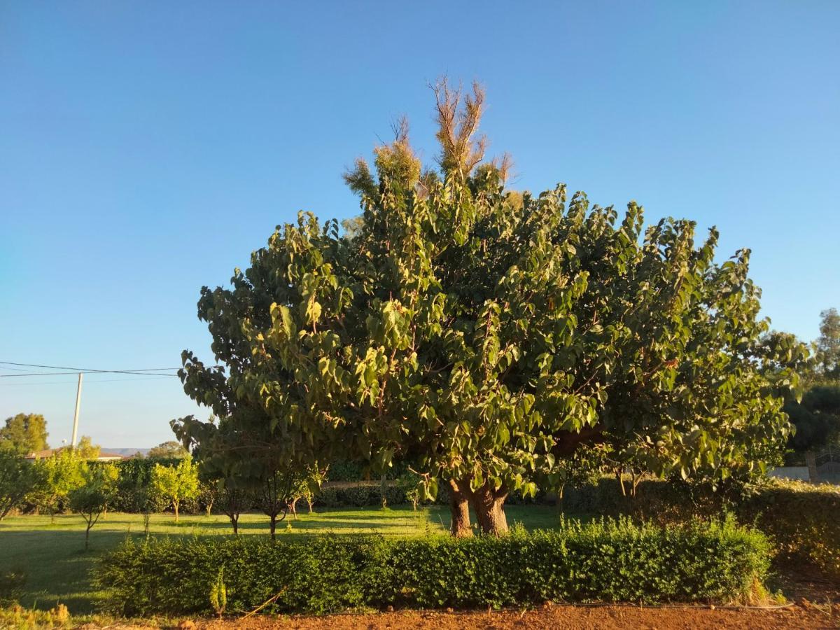 Agriturismo I Doni Del Mandorlo Alghero Bagian luar foto