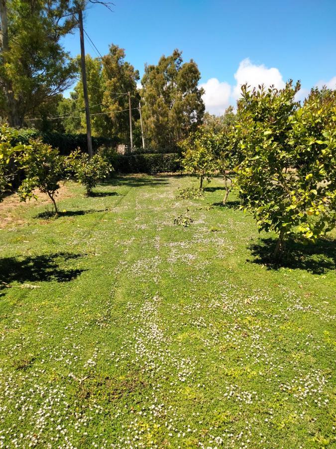 Agriturismo I Doni Del Mandorlo Alghero Bagian luar foto
